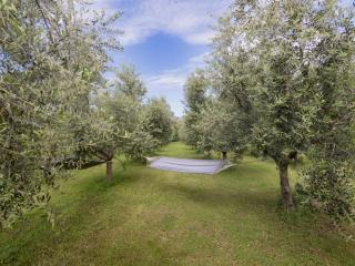 Apartment Tenuta Naiano Leonardo - 8