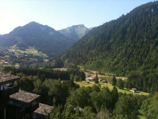 Chalet Loupnots 2P avec vue - 8