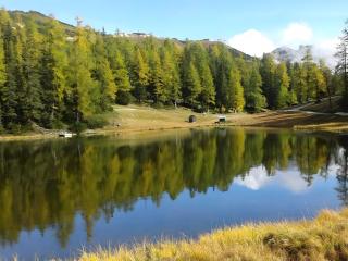 Sonnenalm - Ferienwohnung - Reith - 1