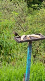 Pacohouse, Apartamento cerca al parque - 8