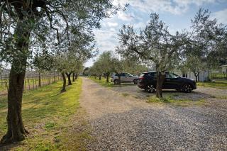 Bardolivo Apartments - Adults Only - 3