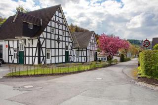 Gut Vasbach Ferienwohnungen - 9