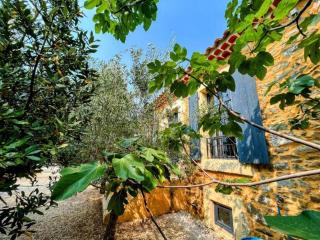 Villa Napoléon - 8