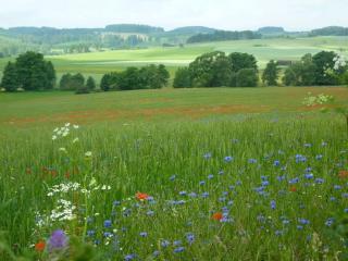 Ferienwohnung Lisa - 7