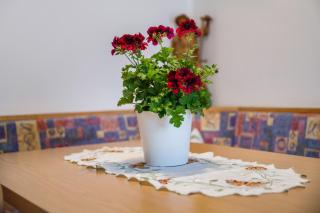 Apartment Sonnenschein - 4