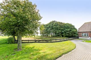 Deichblick - Wesselburenerkoog - 9