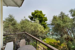 Diamerisma 2ari B - 8