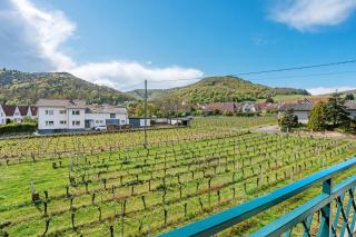 Ferienwohnung Weingut Löwenthal - 9