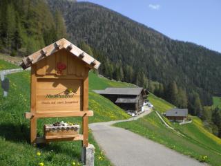 Niederhaushof - Ultimo - 1