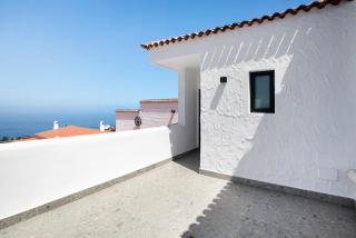 Linaje del Pago Listán Negro - 9