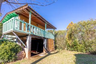 Joli Chalet en bois mésange bleu - 0