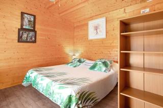 Joli Chalet en bois mésange bleu - 5