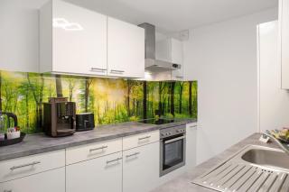 Mosers Ferienwohnung am Sonnenhang - 1