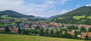 Ferienappartement in Black Forest - 8