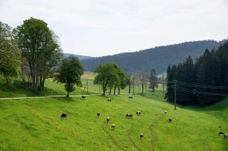 Weißenhof Herr Armin Heizmann - 2
