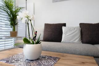 Ferienwohnung König - 7