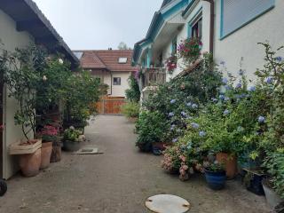 Rosenhof Broggingen - 9