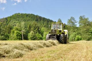 Pension Vogtsmichelhof - Leibgeding - Alpirsbach - 8