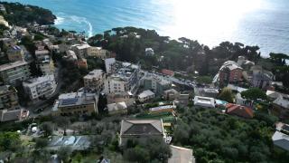 Gli Ulivi - Bogliasco - 3