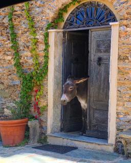 Maison D'hôtes Casa Ghjunca - 4
