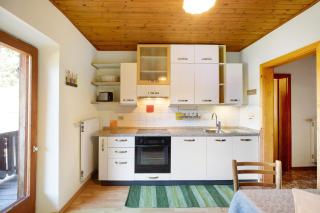 Pitschlhof Apt Lärche - Aldino - 7