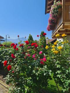 Apartment Sassun - 7