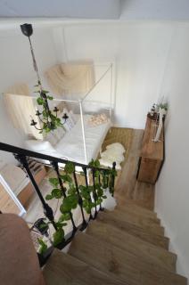 La Casa de Las Orquídeas - 4