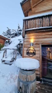 Luxueux chalet avec terrasse Auron - 1