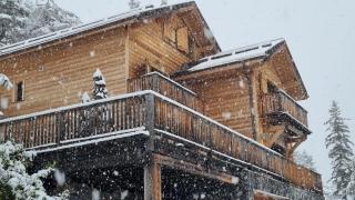 Luxueux chalet avec terrasse Auron - 8