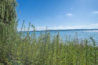 Ferienwohnung Imelda - 3