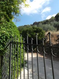 Finca Rústica La Pájara - 4