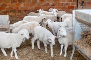 Volta De Ferreres - 8