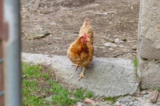 Volta De Ferreres - 4