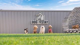 Private Pet Stay Gyeongju - 2