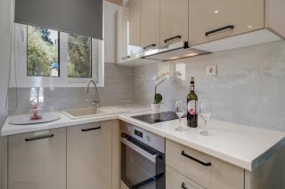 Gkountis Deluxe Studio - 3