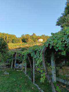 Casa do Capitán - 4