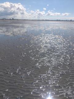 Lord Nelson App 714 - 9