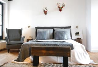 The Pines Boutique Villa - Braşov - 2