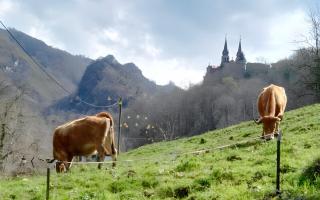 Apartamentos Turisticos La Estación - 1