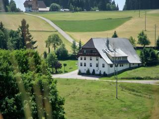 Gasthaus-pension zum Löwen - 0