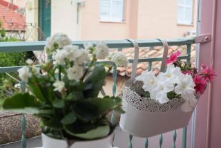 La Casa Rosa - 6