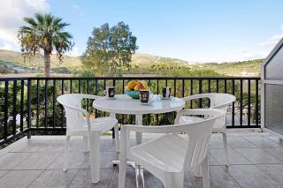 Dolphin Studio 5 - 6