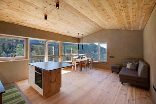 Pitschlhof Apt Zirbe - 7