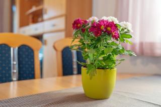 Appartement Sonnenschein - Berghausen - 6