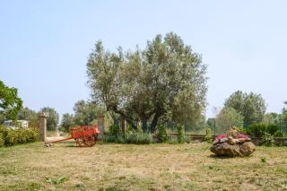 Agriturismo Bio Terre di Naioli - 4