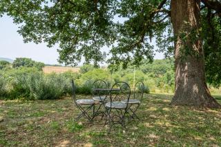 Agriturismo Bio Terre di Naioli - 2