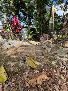 Arenal Kabata Usule - 3