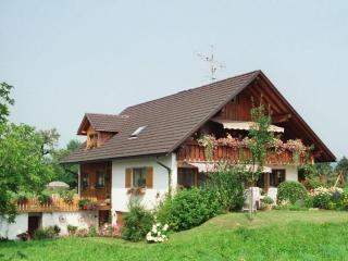 Ferienwohnung Säntisblick - 8