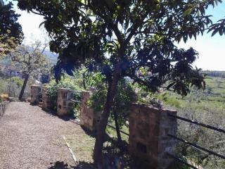 Agriturismo Fattoio alle Ripe - Pelago - 3