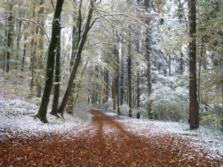 Obstgut Mit Herz Thomas Maier - 1